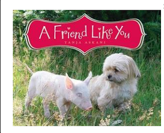 Screen Shot 2016-09-20 at 6.22.32 PM.png