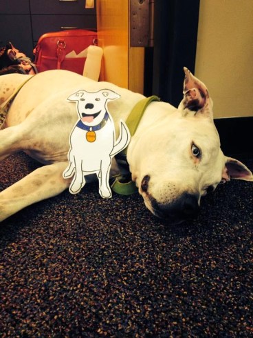 10446698_291951490982770_6139689692382003990_n