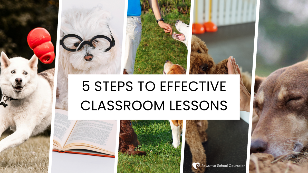 5 Steps to Effective Classroom&nbsp;Lessons