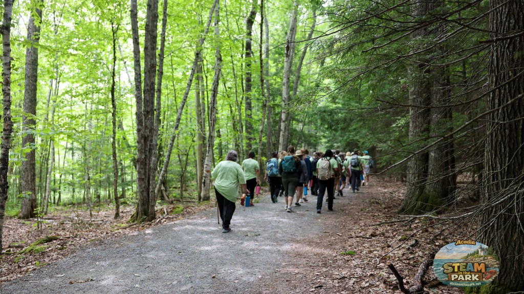 adding nature to your program- nature based learning