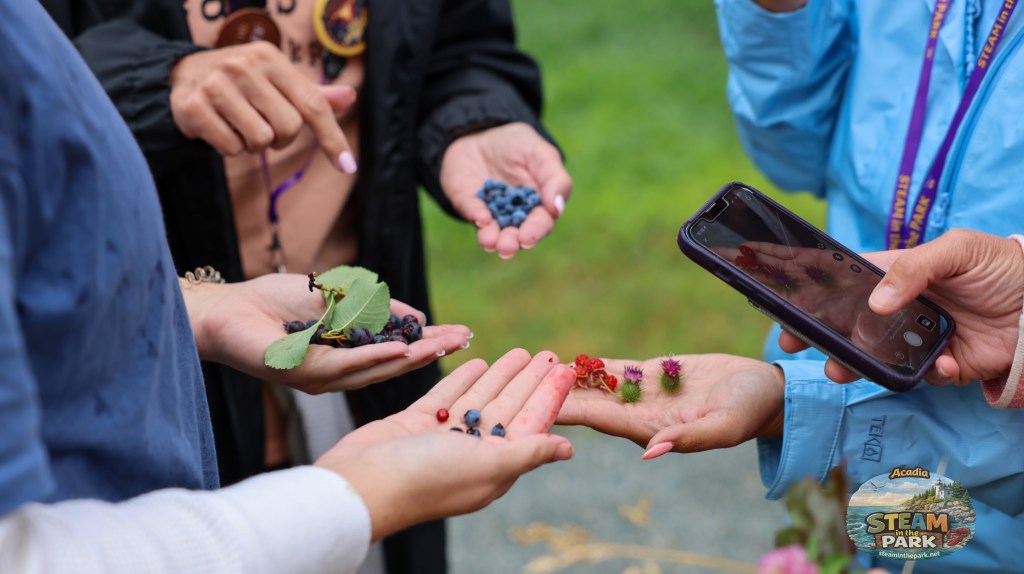 adding nature to your program- nature based learning
